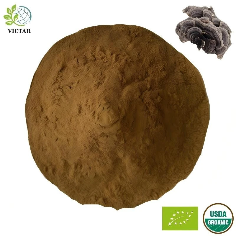 Органічний екстракт Coriouls Versicolor